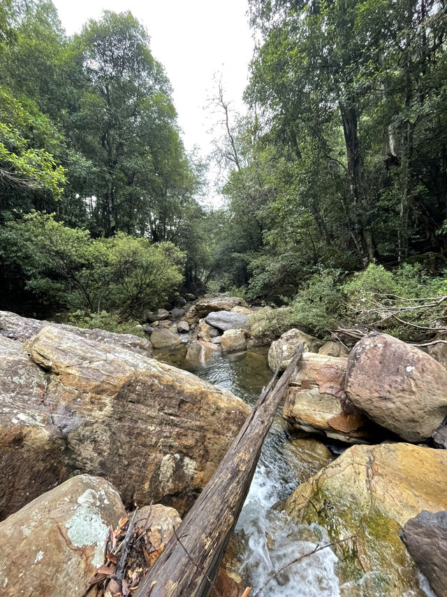 Hidden waterfalls of blue mountains