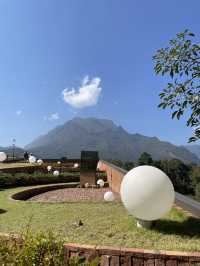 คาเฟ่ TATA ชมวิวดอยหลวงเชียงดาว