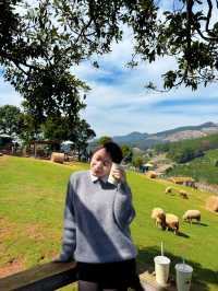 Chill with chika farm