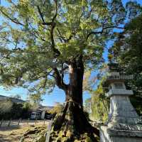 薦神社（大貞八幡宮）