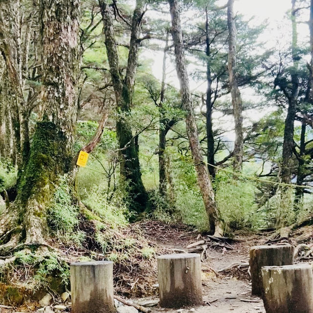 塔關山登山記-南橫三星的最美步道