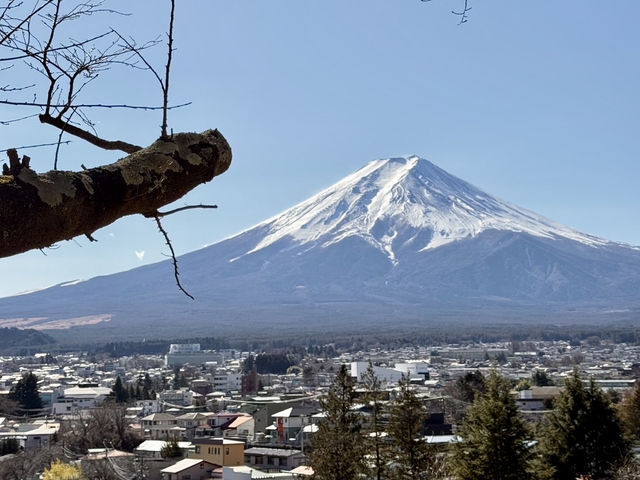 日本｜富士山與忍野八海
