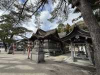 不自駕也能遊水上鳥居～白鬚神社