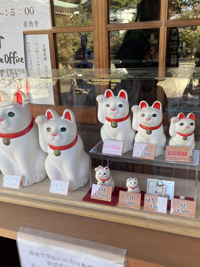 富士深度遊Day6