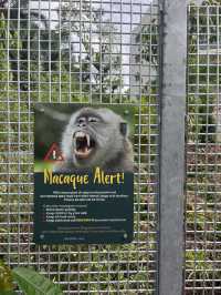 Nature walk with the Wildlife at Mandai