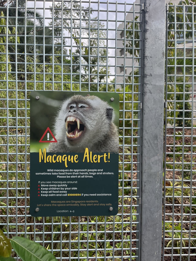 Nature walk with the Wildlife at Mandai