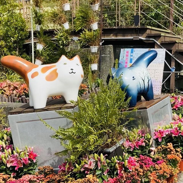 貓空漫遊-步道、美景與茶香的完美結合