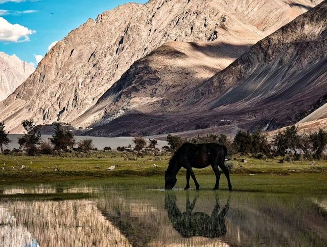 Awasome Nubra Valley 