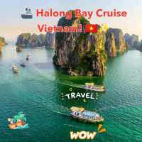 🚢 Halong Bay Cruise  Holiday– A Magical Voyage in Vietnam! 🇻🇳✨
