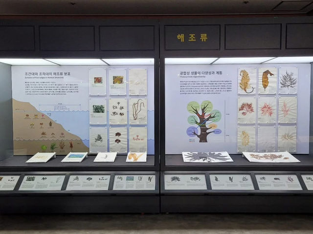 대전광역시 충남 대학교 대덕 캠퍼스 자연사 박물관 입니다.