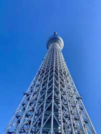 【東京都】 定番中の定番　The東京
