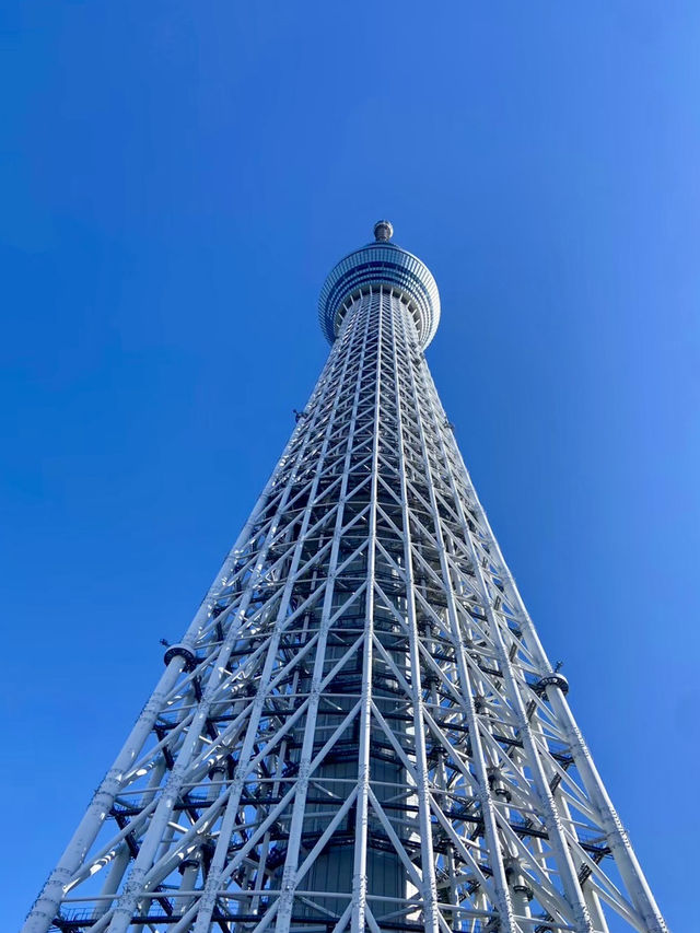 【東京都】 定番中の定番　The東京