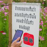 ไปสำรวจทุ่งดอกไม้ ธรรมชาติ และ ศิลปะที่ไร่ JIM📍