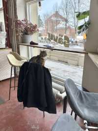 Cozy & Lively Café in Helsinki: Sävy ☕🇫🇮