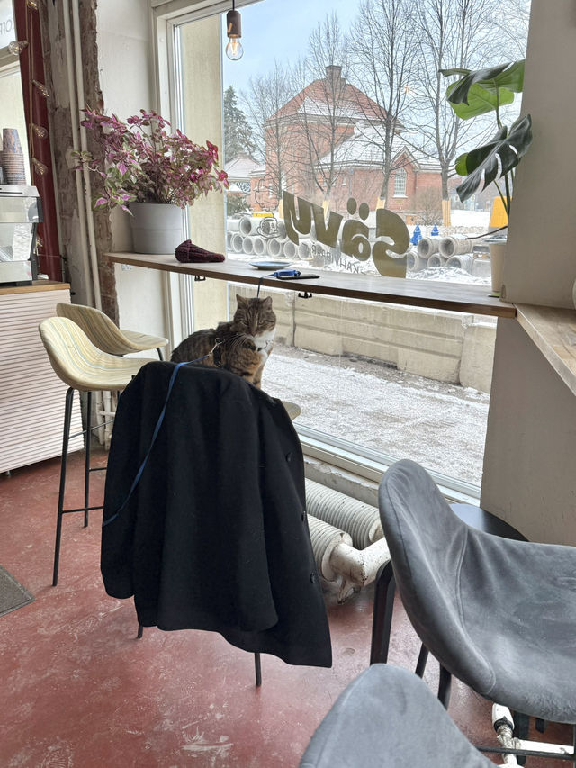 Cozy & Lively Café in Helsinki: Sävy ☕🇫🇮