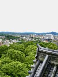 【愛知】犬山城🐶🏯