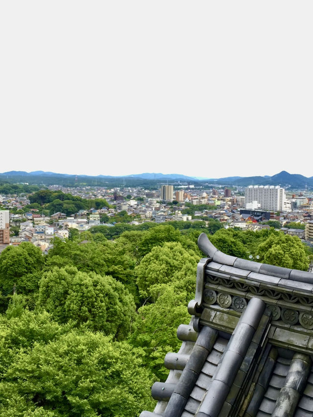 【愛知】犬山城🐶🏯