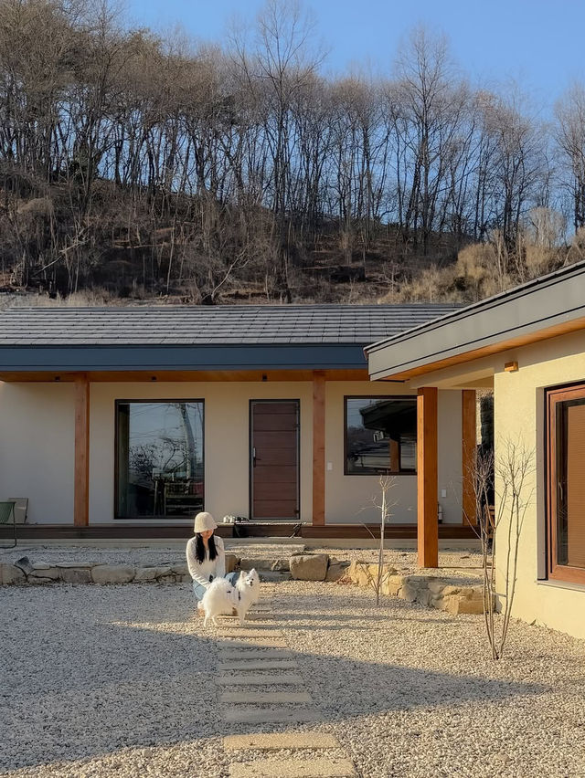 우리 집 강아지와 함께할 수 있는 충주 애견동반 숙소🐶 