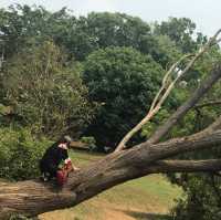 A visit to Kandawgyi National Gardens in Pyin Oo Lwin