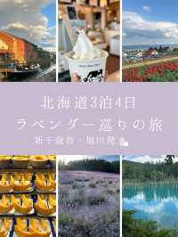 北海道3泊4日旅行プラン　