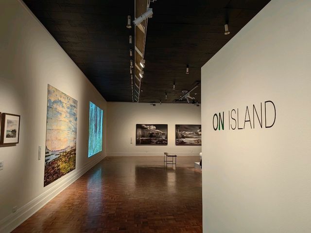 郵輪岸上遊～Tasmanian Art Gallery 