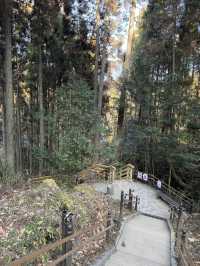 【熊本観光】滝の裏側を見られる！自然が作り出した美しい地形の滝✨️