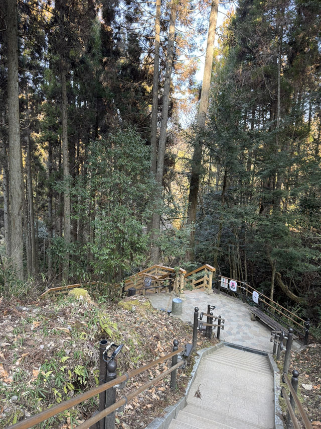 【熊本観光】滝の裏側を見られる！自然が作り出した美しい地形の滝✨️