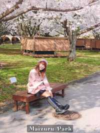 Fukuoka in Sakura Season~🌸🇯🇵✨