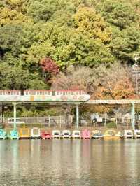 東山植物公園湖泊-多元化水上設施，悠閑享受自然美景