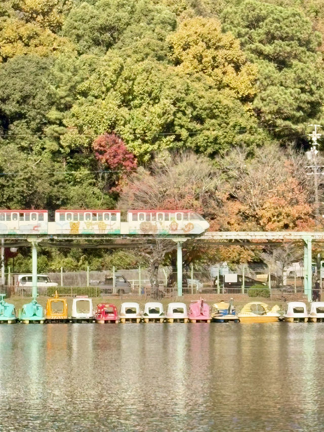 東山植物公園湖泊-多元化水上設施，悠閑享受自然美景