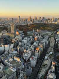 俯瞰東京的雙重魅力：新宿都廳與澀谷SKY的觀景台之旅 🌇✨