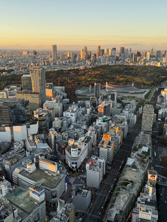 俯瞰東京的雙重魅力：新宿都廳與澀谷SKY的觀景台之旅 🌇✨