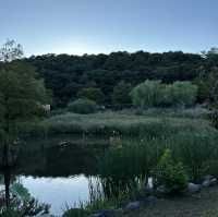 【ソウル】🇰🇷 ボラメ公園