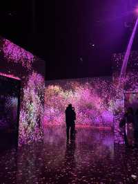 Fun visual Arte museum 