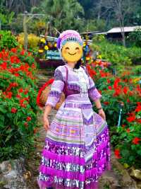 รีวิวเที่ยวดอยปุย เชียงใหม่