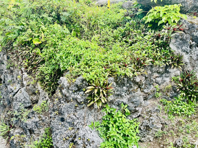 ⛰️ タポチョ山（Mount Tapochau）完全攻略ガイド 🌄✨