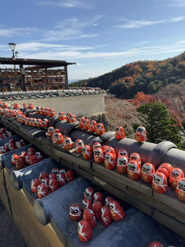 Katsuoji Temple วัดที่เต็มไปด้วยตุ๊กตาดารุมะ