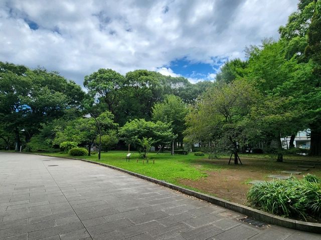 家族で楽しむ都心のリフレッシュポイント – 上野動物園で癒しのひととき