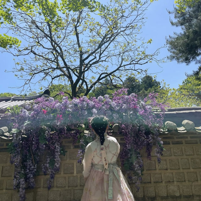 날이좋을때 가기 좋은 한국민속촌