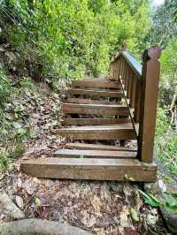 Discover Springs Wonders - Penang National Park Hike