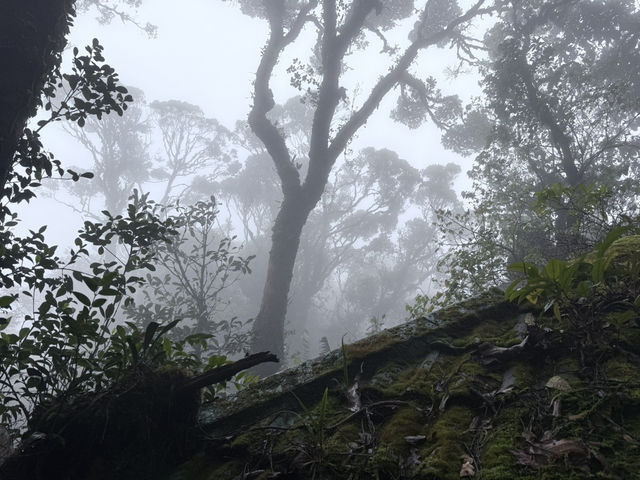 Get lost in nature’s beauty…