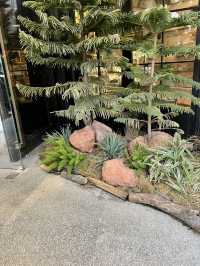 niko and … สาขา Huaihai – มินิมอลสายญี่ปุ่นต้องมา