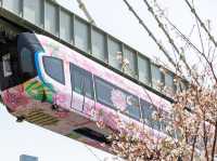Chasing Sakura at Wuhan, China