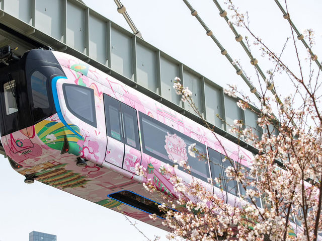 Chasing Sakura at Wuhan, China