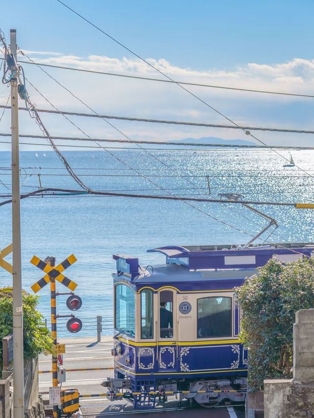 🌊 初めての鎌倉旅行｜この1日観光ルートをそのままコピペ！✨