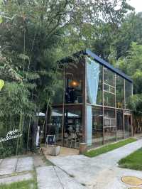 대전 치앙마이 분위기의 커피인터뷰🌿