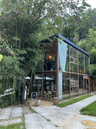 대전 치앙마이 분위기의 커피인터뷰🌿