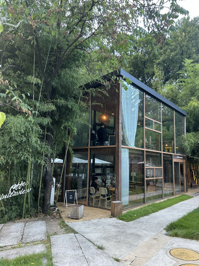 대전 치앙마이 분위기의 커피인터뷰🌿