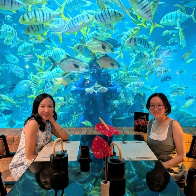 An Unforgettable Underwater Feast at Koral