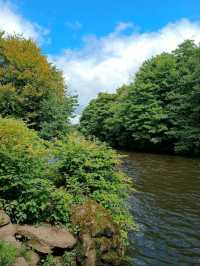 Bute Park